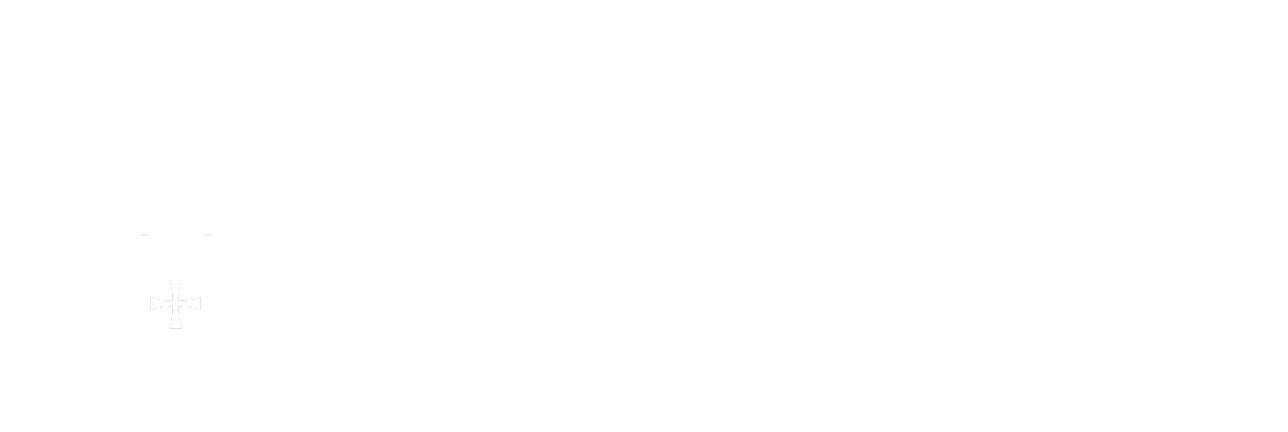 Niagara University Logo